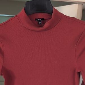 Express Brick Red Turtleneck Top